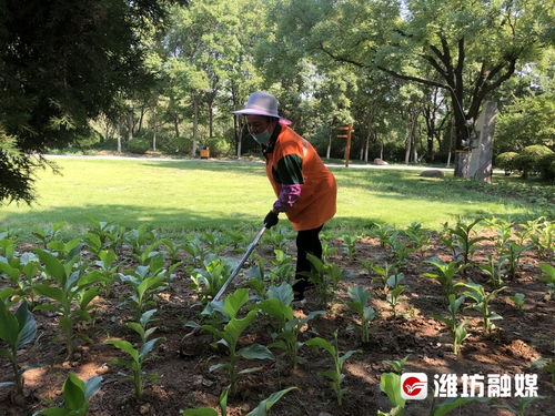 烈日下守护端午假期的你们,辛苦啦