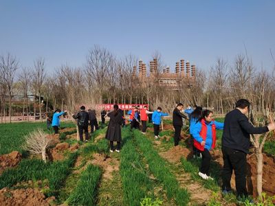 逐绿前行 与绿共生 郏县厚植高质量发展的生态底色