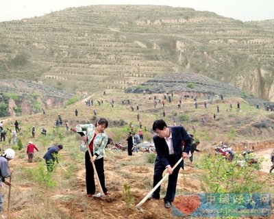 “树痴”乔建平:二十年如一日植树绿化荒山(2图)
